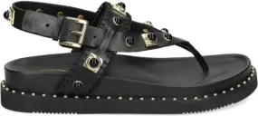 Ash Uteca stud-embellished leather sandals Black