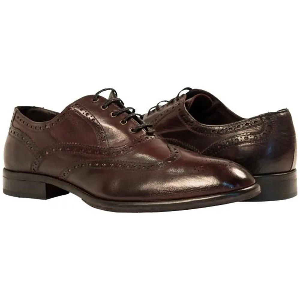 Paolo Shoes Alfredo Wingtip Oxfords Burgundy